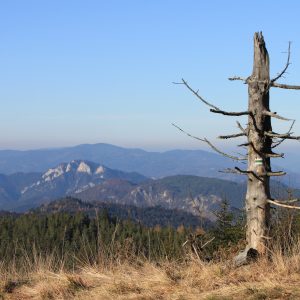 Pohľad zo Spišskej Magury. Foto: V. Kunštárová