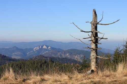 Pohľad zo Spišskej Magury. Foto: V. Kunštárová