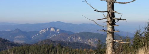 Pohľad na Pieniny zo Spišskej Magury. Foto: V. Kunštárová