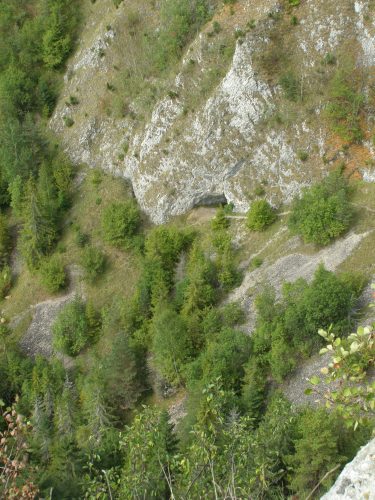 Lokality pred vyčistením. Porast s náletovými drevinami neumožňuje prežiť vzácnym druhom rastlín a živočíchov, ktoré na prežitie potrebujú skalné sute. Foto: V. Kĺč