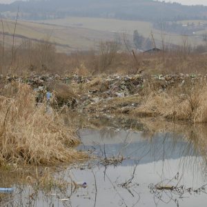 Bobria hrádza (Castor fiber) na potoku Lomnička. Foto: M. Petrilak