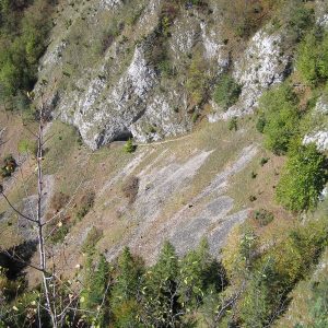 Lokalita po vyčistení od náletových drevín. Foto: V. Kĺč