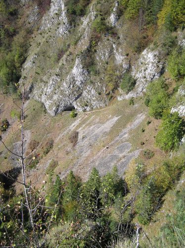 Lokalita po vyčistení od náletových drevín. Foto: V. Kĺč