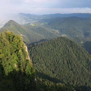 Pohľad na prevažne bukovo-jedľové porasty Pienin, foto: V. KĹč