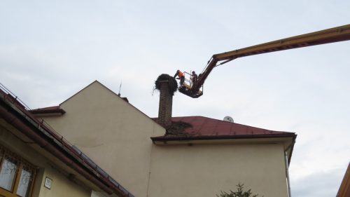 Odľahčenie hniezda bociana bieleho na materskej škole v obci Nová Ľubovňa. Foto: K. Kisková