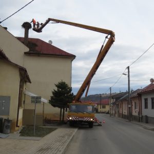 Odľahčenie hniezda bociana bieleho na materskej škole v obci Nová Ľubovňa. Foto: K. Kisková