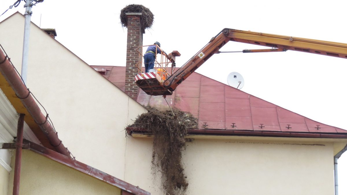 Odľahčenie hniezda bociana bieleho na materskej škole v obci Nová Ľubovňa. Foto: K. Kisková