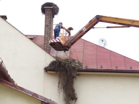 Odľahčenie hniezda bociana bieleho na materskej škole v obci Nová Ľubovňa. Foto: K. Kisková