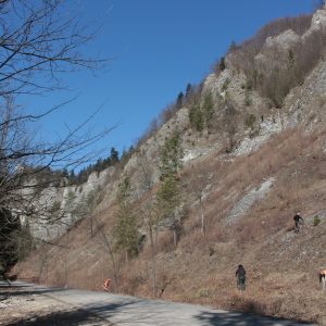 Skalné sute v prielome Lesnického potoka. Foto: V. Kĺč