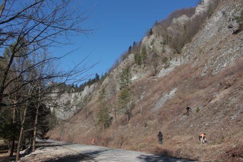 Skalné sute v prielome Lesnického potoka. Foto: V. Kĺč