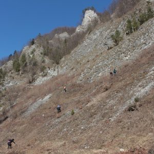 Skalné sute v prielome Lesnického potoka. Foto: V. Kĺč