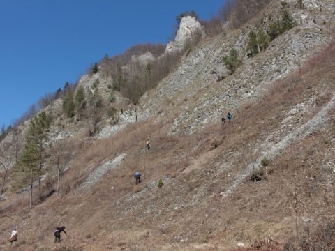 Skalné sute v prielome Lesnického potoka. Foto: V. Kĺč