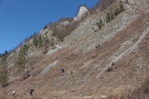 Skalné sute v prielome Lesnického potoka. Foto: V. Kĺč