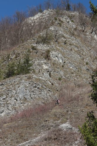 Skalné sute v prielome Lesnického potoka. Foto: V. Kĺč